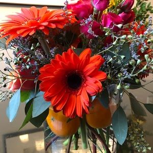 Meet your Posher, Piper